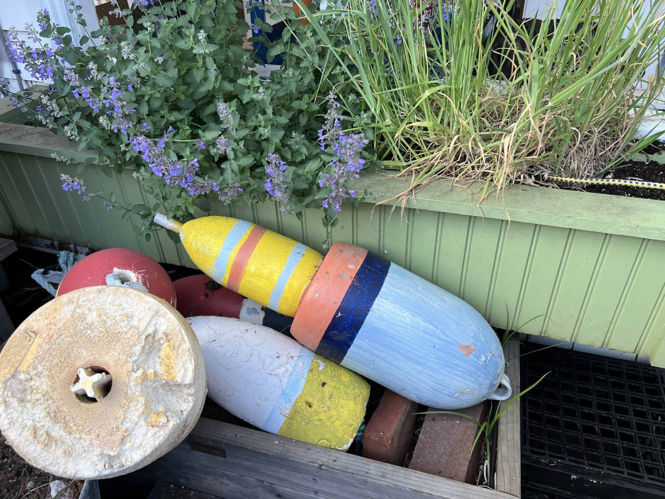 Chatham Visit Cape Cod