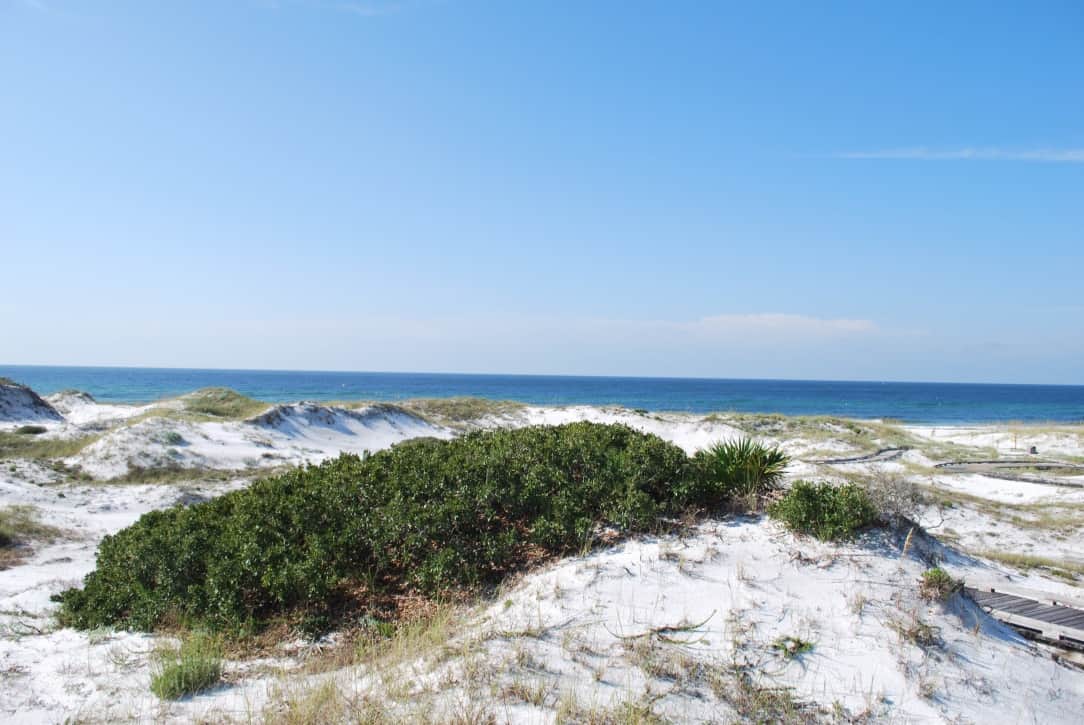 sand dunes in 30a