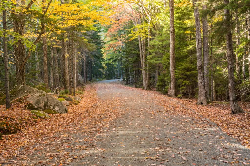 The Best Acadia National Park in Fall Guide, 2025 - Family Travel