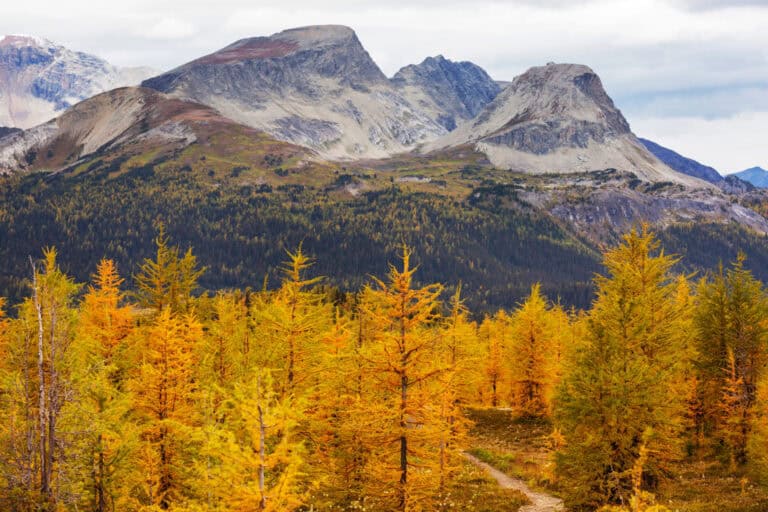 Visit Banff in Fall, the Best Season to Visit