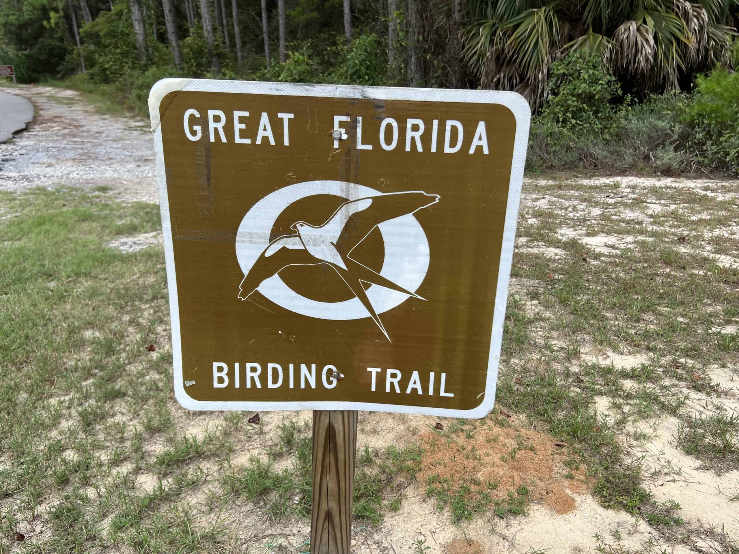 go birding in Grayton Beach State Park