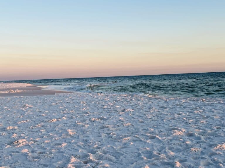 The Best Review of Seaside vs Watercolor, Florida