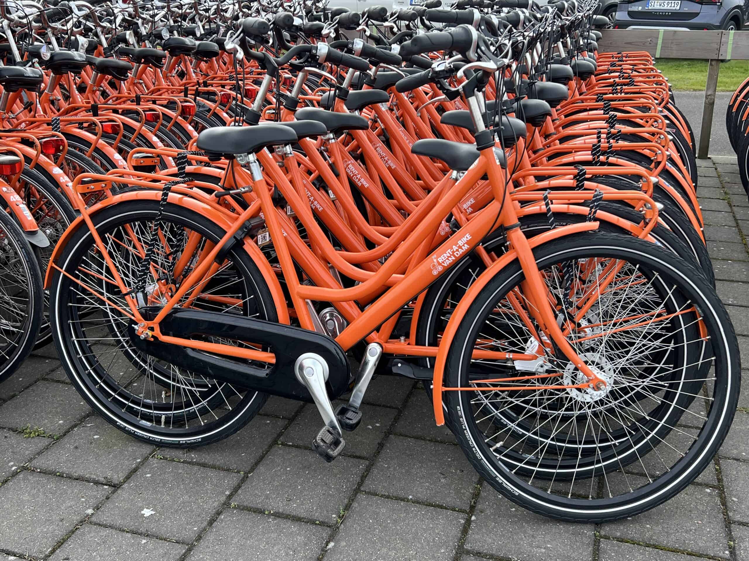 biking through Lisse