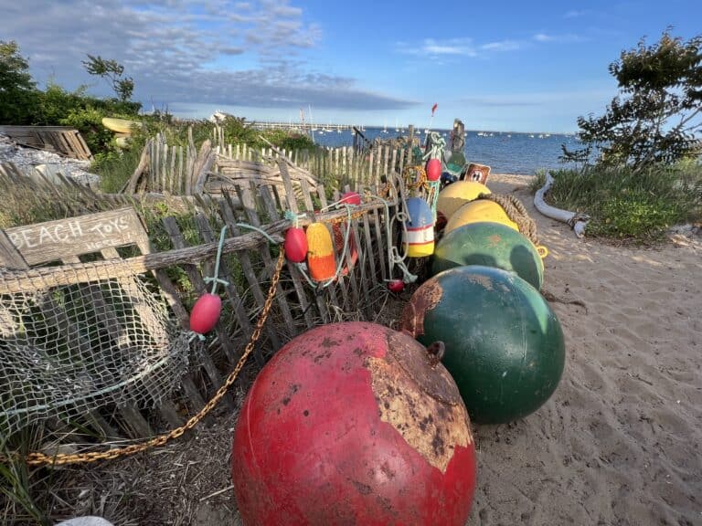 The Most Exciting Things to do in Provincetown, Cape Cod in 2025