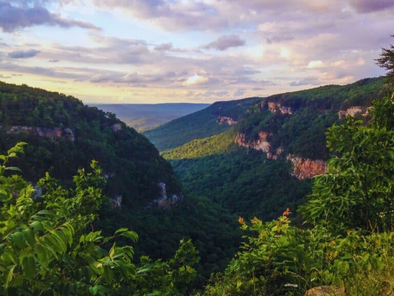 19 Best Day trips from Atlanta, Georgia from a Local