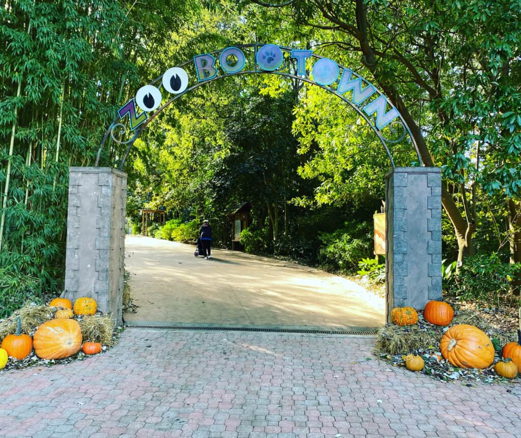 The Ultimate Guide to the Best Things to Do in Atlanta in the Fall in ...