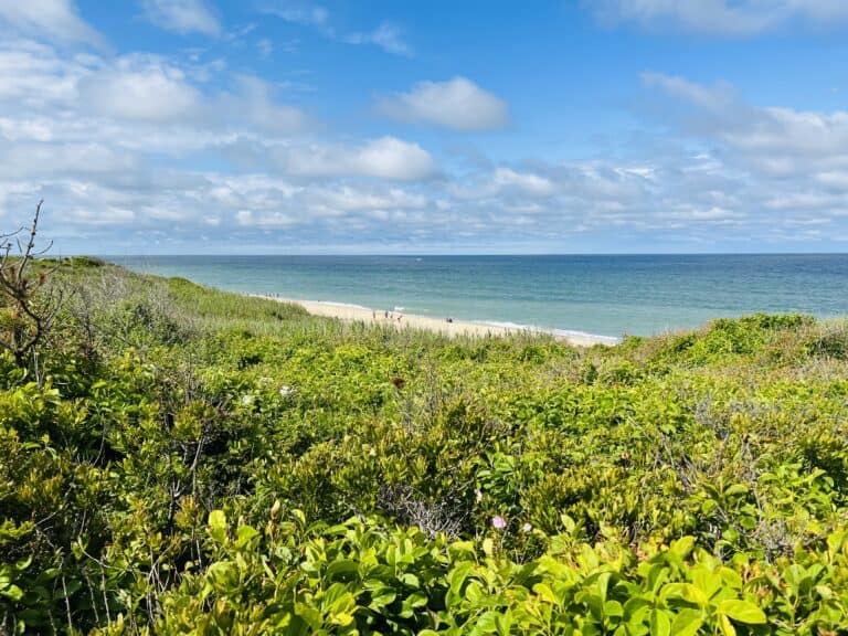 The Ultimate Guide on Where to stay in Chatham, MA