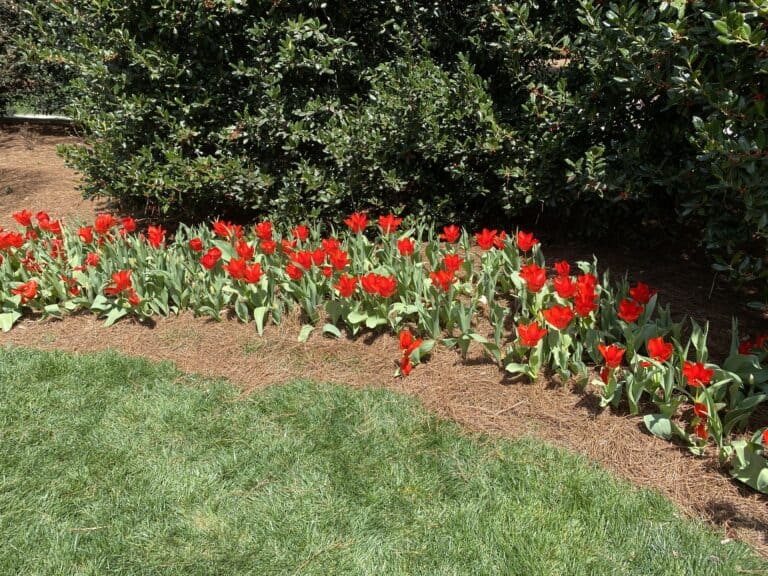 The Best Activities for a Spring Break in Atlanta